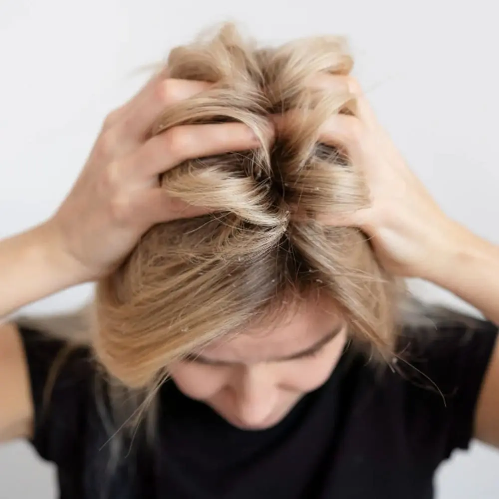 زینو بیوتی 04