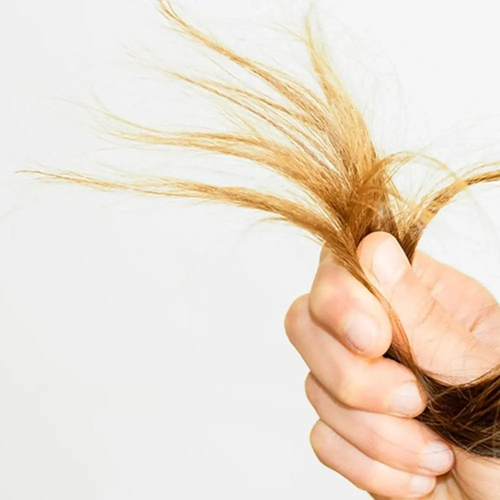 زینو بیوتی 05