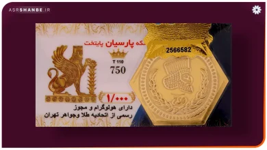 سکه پارسیان