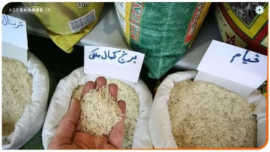 برنج پاکستانی