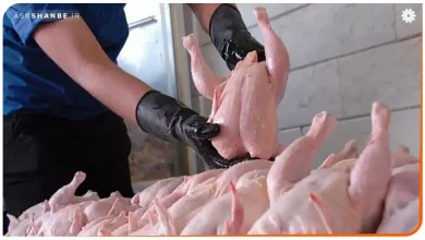 مرغ در بازار