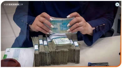 پول در دست خانم